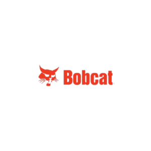 bobcat